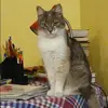 Отзыв от Анжелика Касаткина